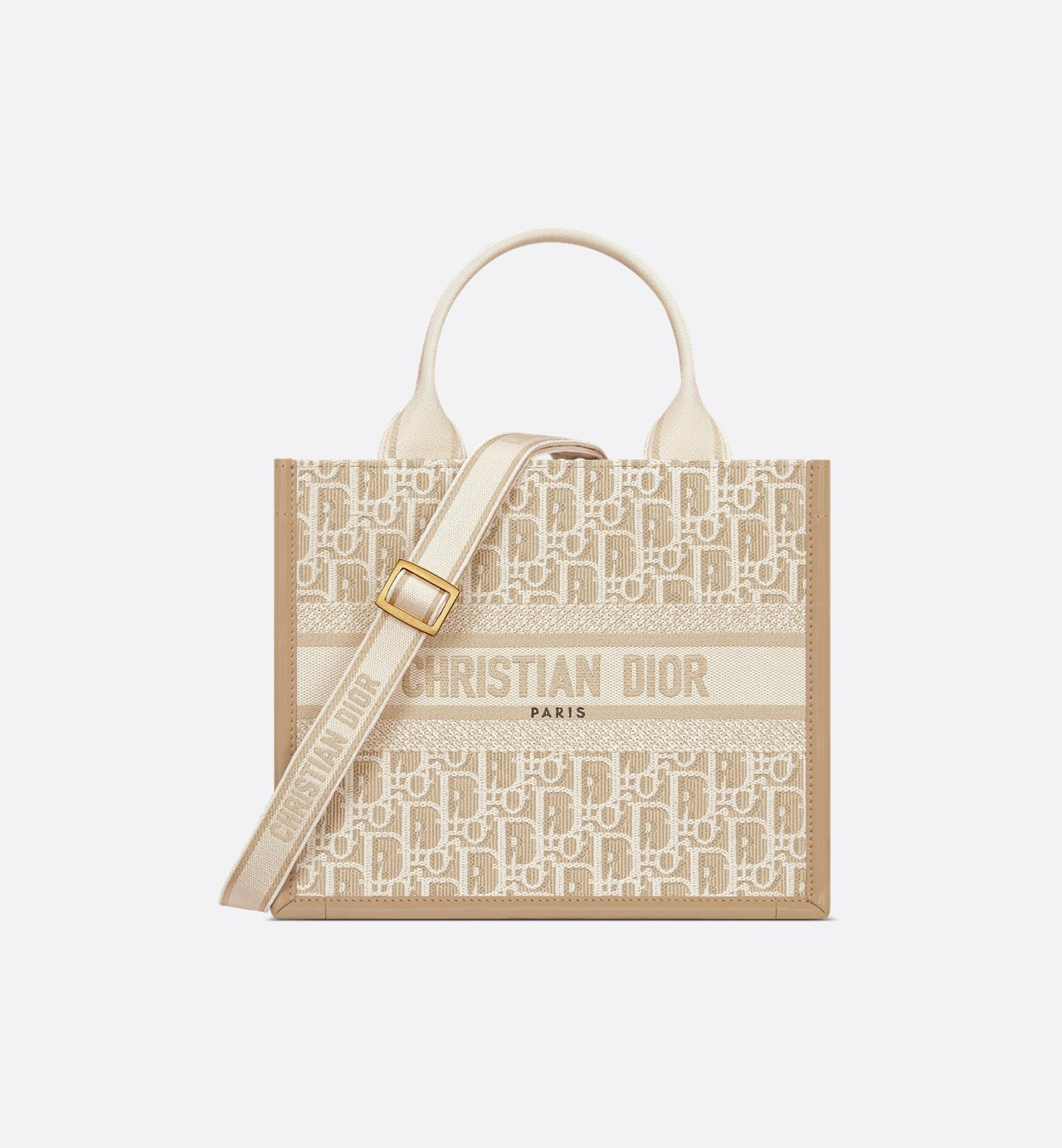 Sac Dior Book Tote Small